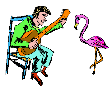 flamingo