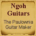 Ngoh guitars