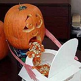 Passionless music critics - Pumpkin vomit