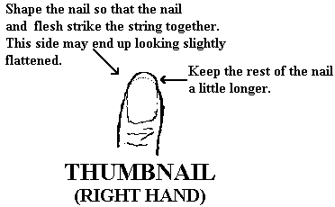 Nails - Thumbnail